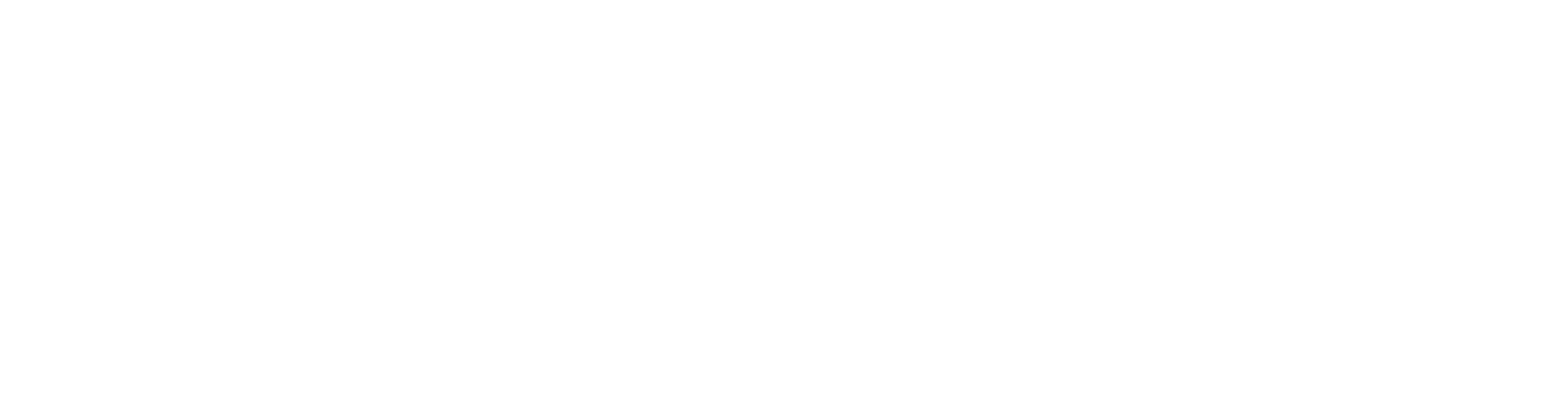 logo silvia ferreira branco